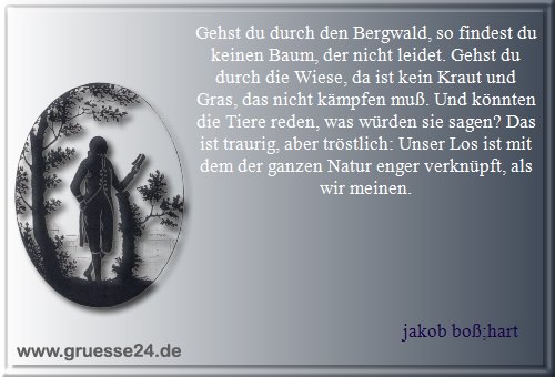 kleidung-010