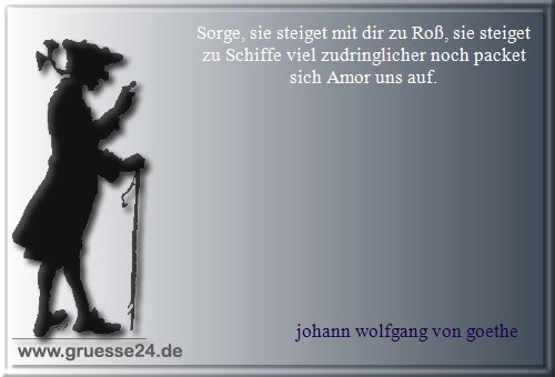 partnerwahl-012