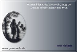 dummheit-024