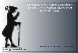 ehrgeiz-003