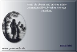 gemeinschaft-013