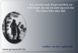 hass-016