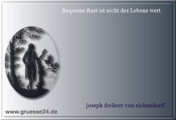 musse-006