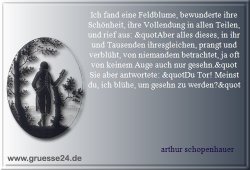 natur-036