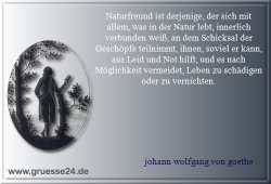 natur-041