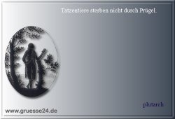 pruegel-005