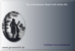 scham-006