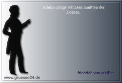 schoene-013
