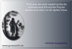 spott-006