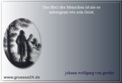 strenge-003