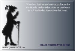 tiere-027