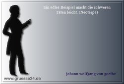 vorbild-019