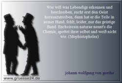 wissenschaft-014