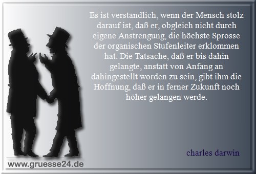 vervollkommnung-022