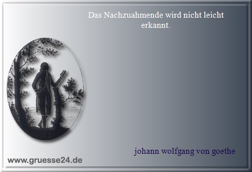 vorbild-024