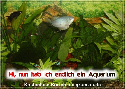 grusskarte-diverses-aquarianer-q_003