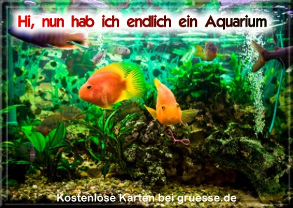 grusskarte-diverses-aquarianer-q_005