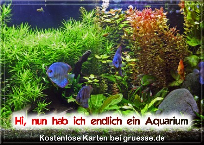 grusskarte-diverses-aquarianer-q_007