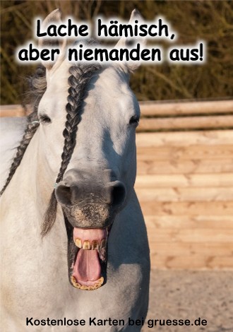 grusskarte-diverses-bloede-sprueche_015
