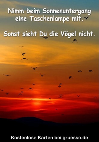 grusskarte-diverses-bloede-sprueche_016