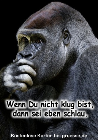 grusskarte-diverses-bloede-sprueche_021