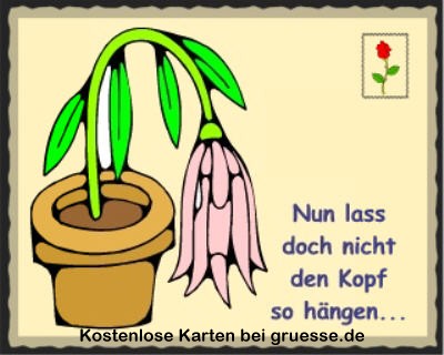 grusskarte-spass-q-gemischt_003