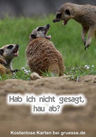 grusskarte-diverses-streit_006