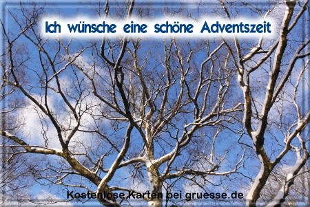 grusskarte-festtage-advent-winterfotos-q_004