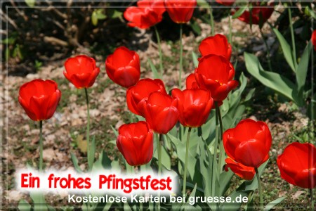 grusskarte-festtage-pfingsten-fotos-q_001