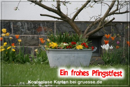 grusskarte-festtage-pfingsten-fotos-q_006
