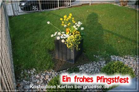 grusskarte-festtage-pfingsten-fotos-q_008