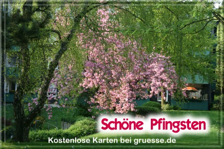 grusskarte-festtage-pfingsten-fotos-q_010