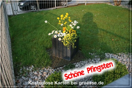 grusskarte-festtage-pfingsten-fotos-q_012