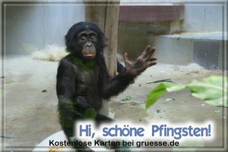grusskarte-festtage-pfingsten-fotos-q_027