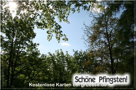 grusskarte-festtage-pfingsten-fotos-q_034