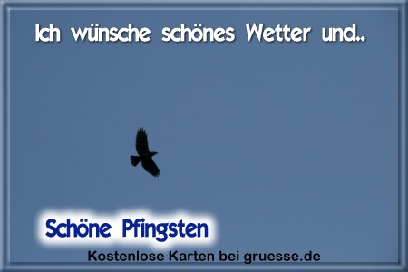 grusskarte-festtage-pfingsten-fotos-q_036