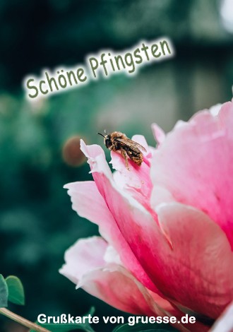 grusskarte-festtage-pfingsten-standard_004