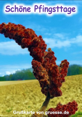 grusskarte-festtage-pfingsten-standard_007
