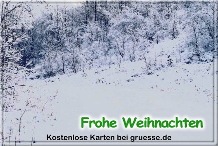 grusskarte-festtage-weihnachten-art-3-q_016