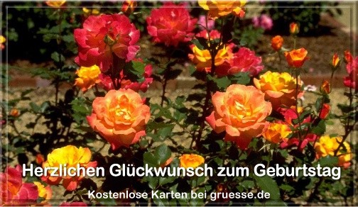 grusskarte-glueckwuensche-geburtstag-blumen-q_020