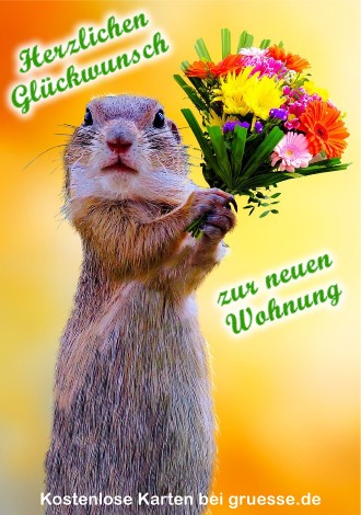 grusskarte-glueckwuensche-neue-wohnung_004