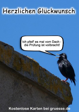 grusskarte-glueckwuensche-pruefung_008