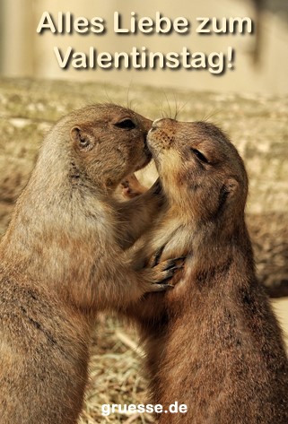 grusskarte-herzensgruesse-valentinstag_029
