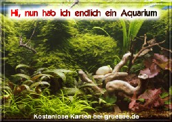grusskarte-diverses-aquarianer-q_001