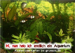 grusskarte-diverses-aquarianer-q_002