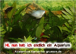 grusskarte-diverses-aquarianer-q_003
