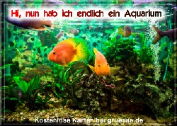 grusskarte-diverses-aquarianer-q_005