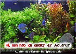 grusskarte-diverses-aquarianer-q_007