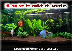 grusskarte-diverses-aquarianer-q_008