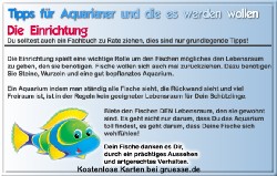 grusskarte-diverses-aquarianer-q_009